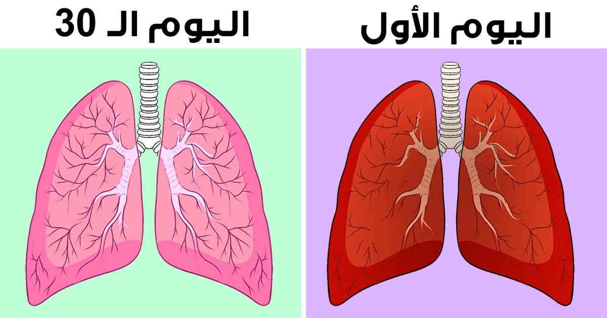 8 أشياء يمكنك تجريبها لإزالة أعراض السموم من رئتيك بشكل طبيعي