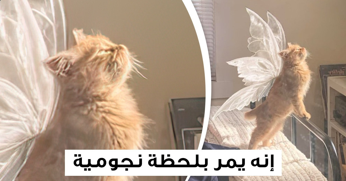 15 صورة دافئة سوف تحسن مزاجك أكثر من فنجان قهوتك المفضل