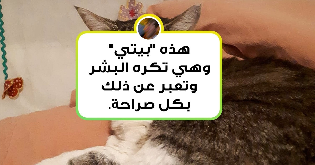 20 صورة لحيوانات أليفة تستحق جائزة أوسكار عن روعة تعبيراتها العاطفية
