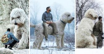 22 من الحيوانات الفريدة لا نصادفها في العمر مرتين